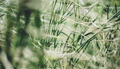 How to make a lucky amulet with your own hands