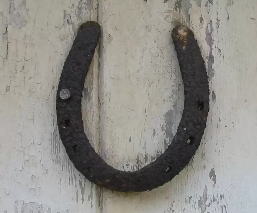 Good luck amulet - horse's foot